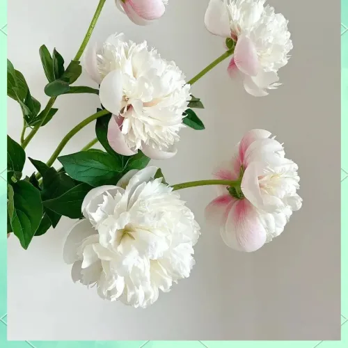 Peony Colonel Owen Cousins factory